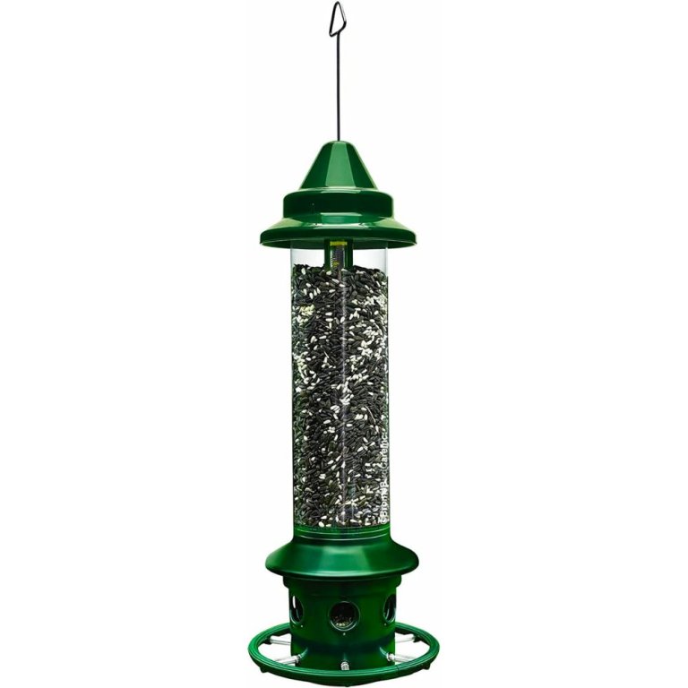  Brome SquirrelBuster Plus Squirrel-Proof Bird Feeder on a white background