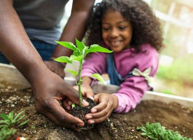 10 Ways Your Backyard Garden Can Combat Climate Change