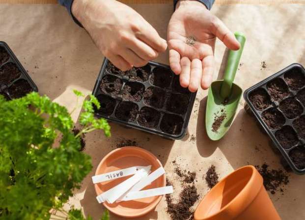 8 Stinging Caterpillars All Home Gardeners Should Be Aware Of