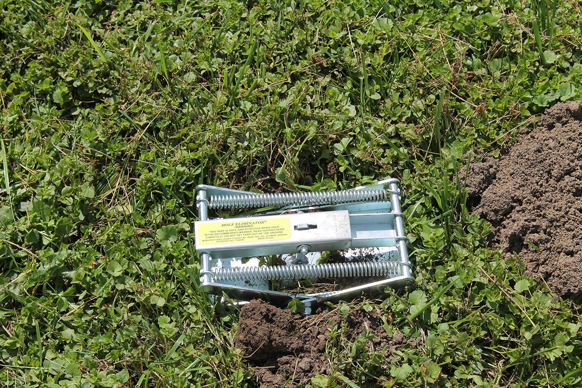 Wire Tek Mole Trap Set