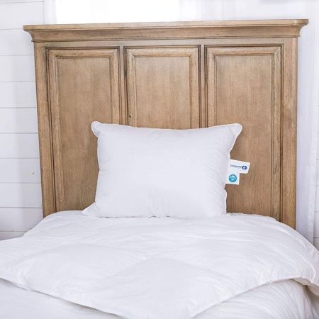 Continental Bedding 100% Goose Down Pillows