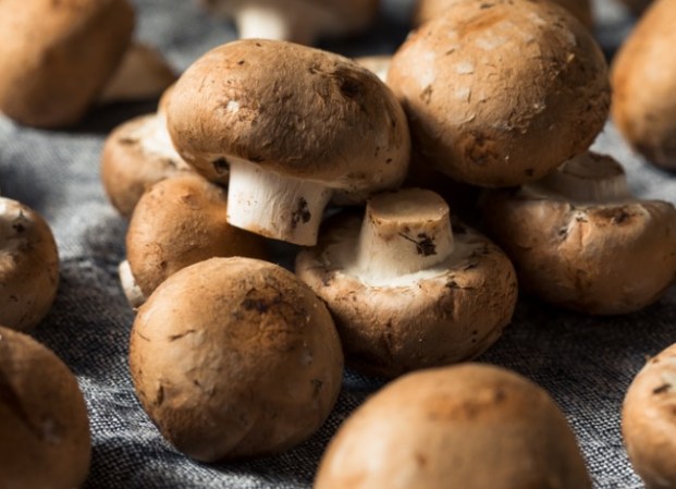 How To: Grow Mushrooms at Home