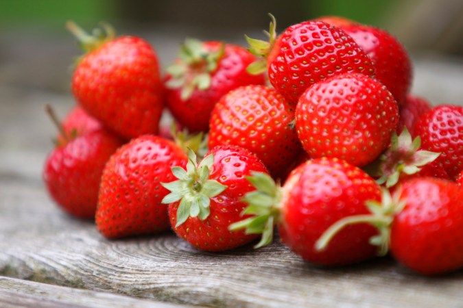 6 Types of Berries That Are Easy to Grow in Containers