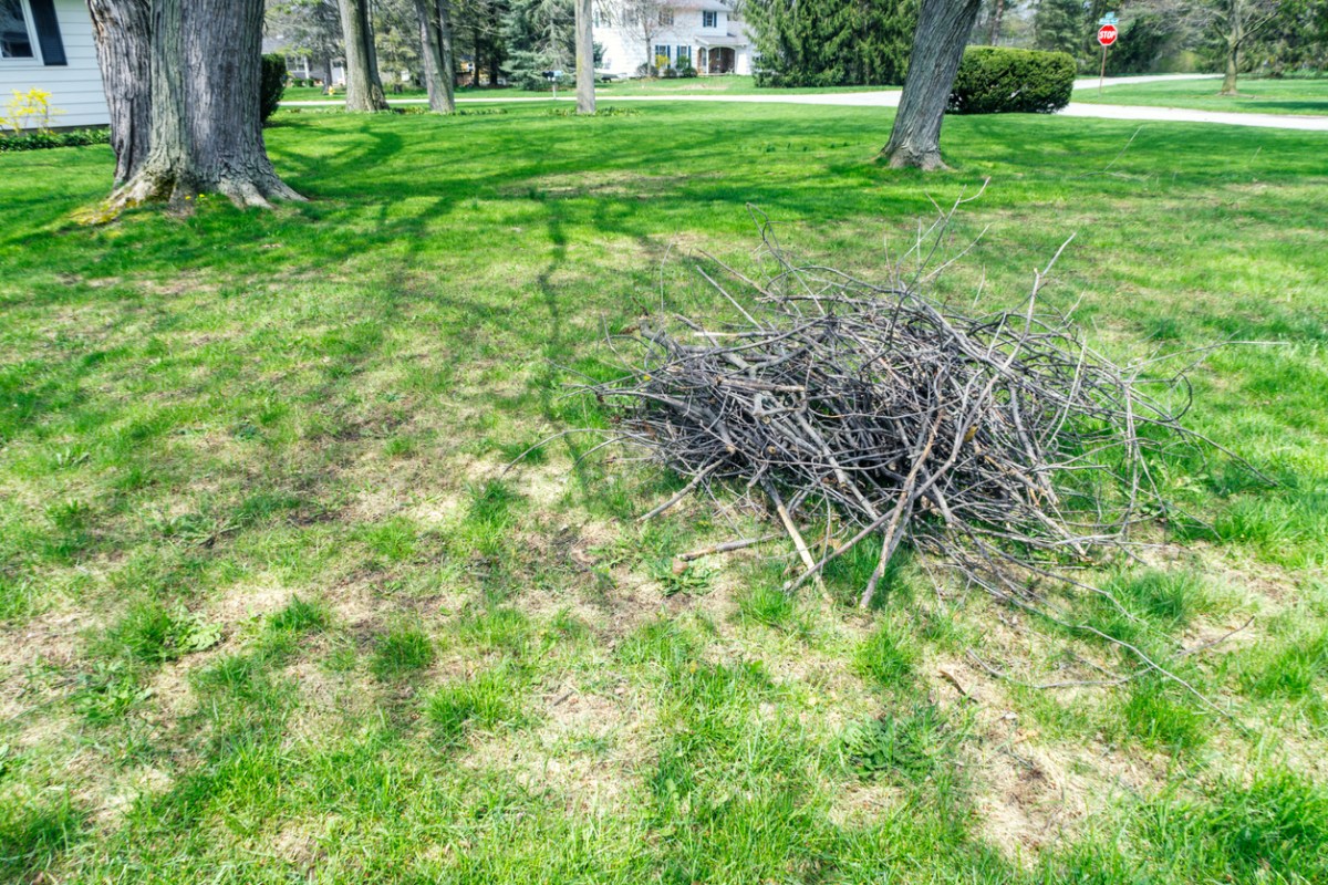Neat heap of piled up cut tree branches, sticks and twigs waiting on a suburban residential district front yard grass lawn to be gathered up and carried to the back yard fire pit. Late springtime in early May near the city of Rochester in western New York State.