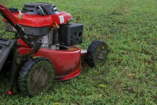 Can You Mow Wet Grass?