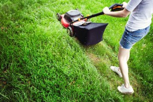 Can You Mow Wet Grass?