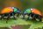 A closeup of two Japanese beetles facing each other on a leaf.