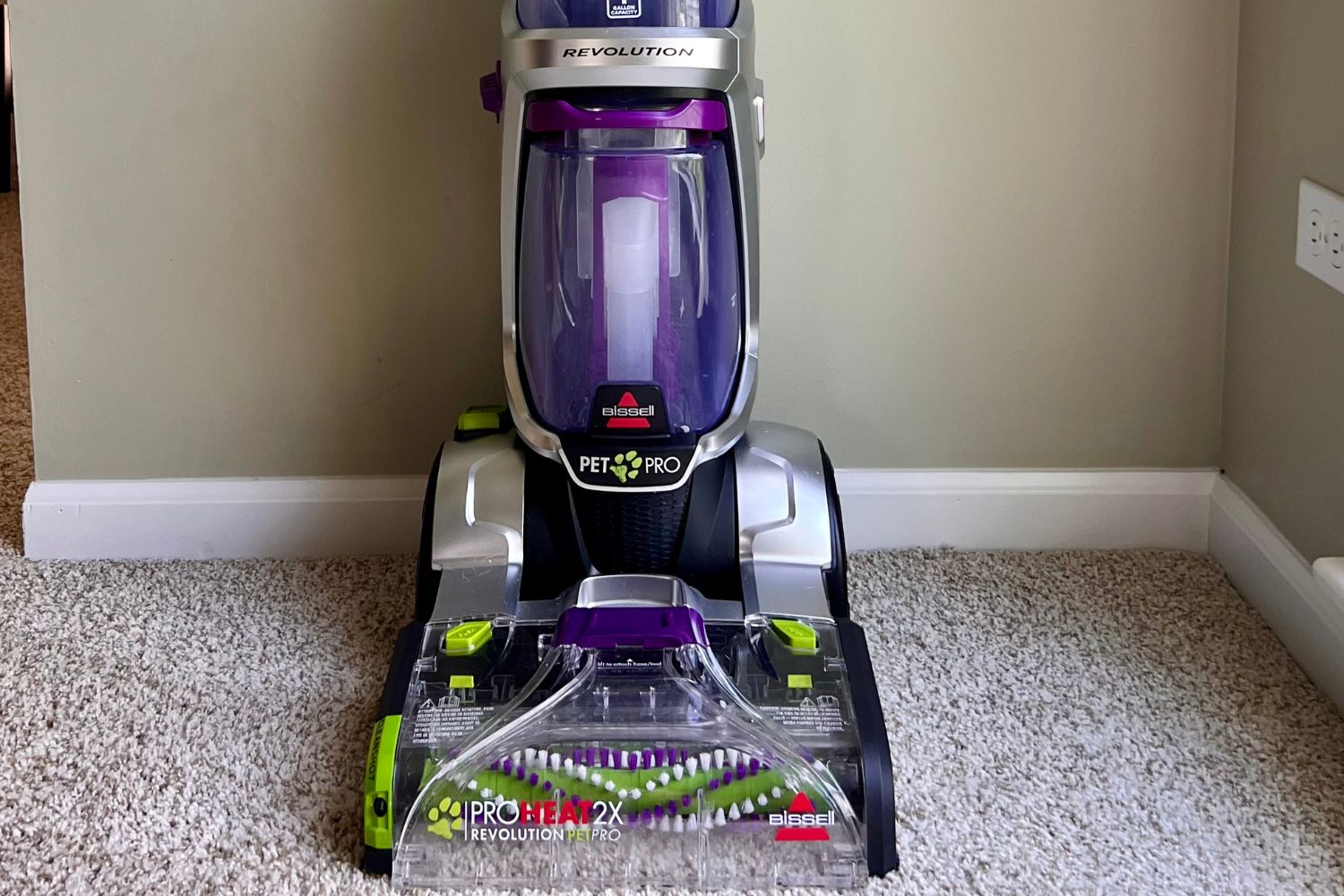The Best Carpet Cleaner for Pets Option
