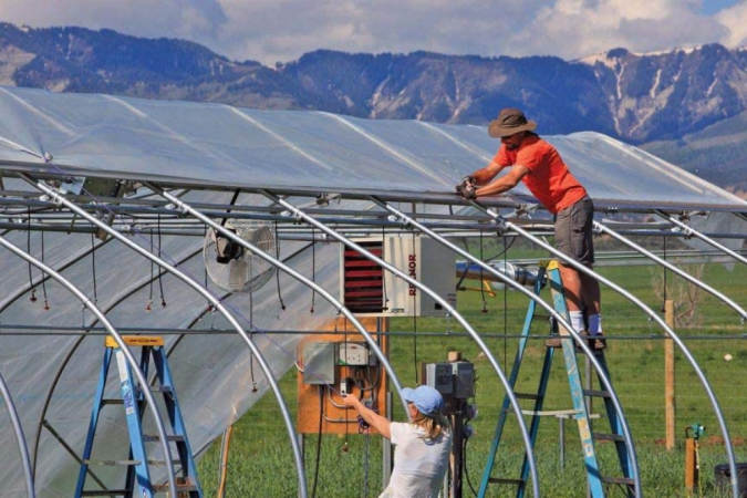 The Best Compact Greenhouses of 2023