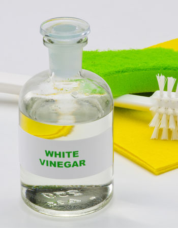Does Vinegar Kill Mold Vinegar Has Antifungal and Antibacterial Abilities