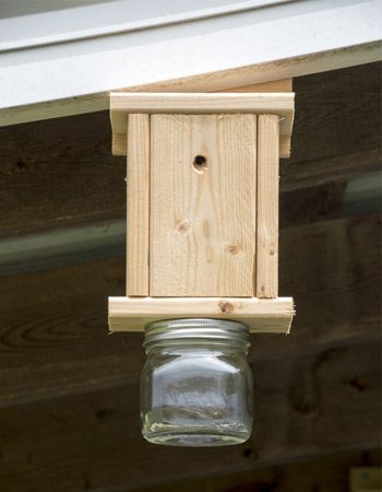 How to Make a Carpenter Bee Trap Tips