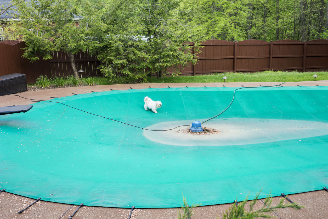 Inground Pool Cost Additional Costs