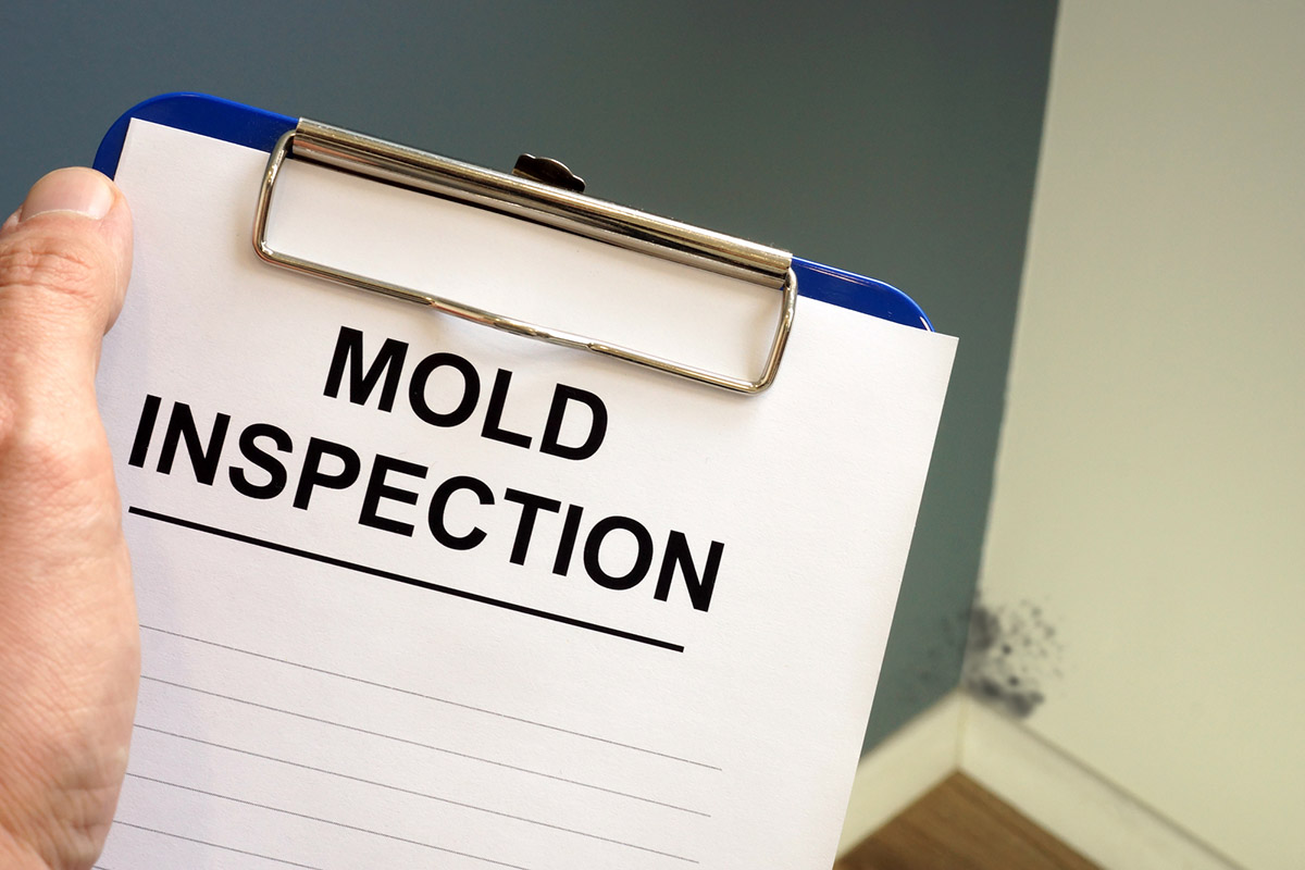A document called 'mold inspection' is shown on a blue clipboard. 
