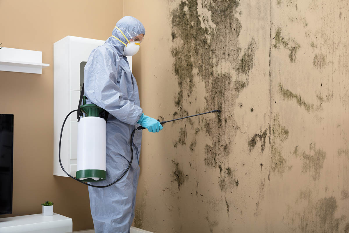 A suited inspector treats a moldy wall.
