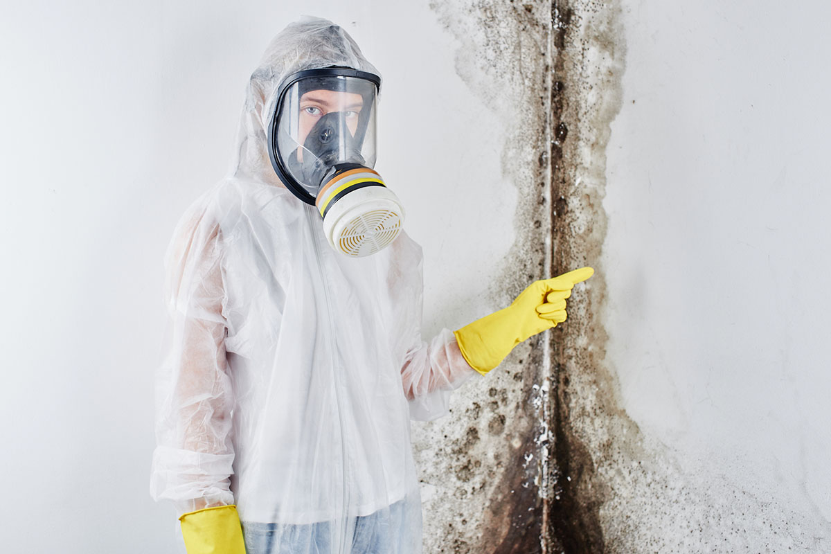A suited worker points at mold growing on walls.