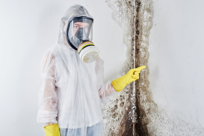 This Is the Only Pro You Need to Call for Mold Inspection