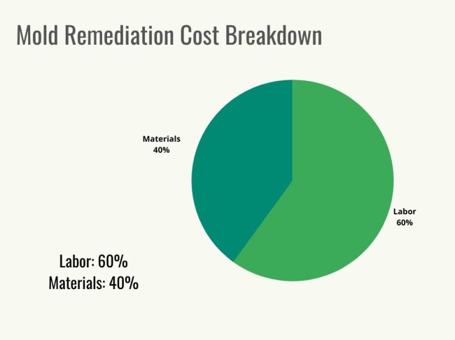 A pie chart showing the breakdown of mold remediation cost.