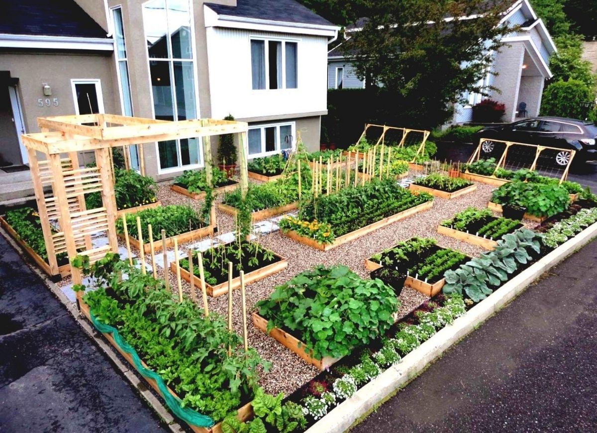 13 Ideas For A Vegetable Garden With
