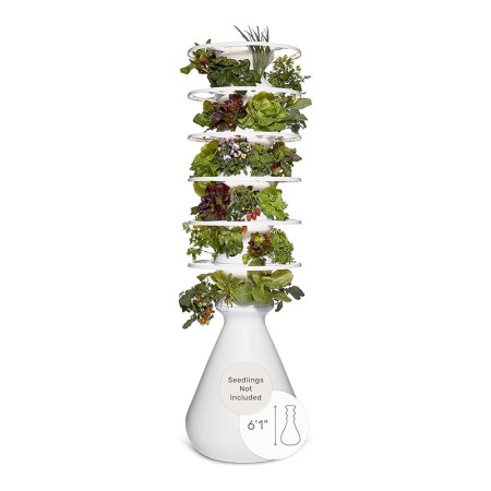 Lettuce Grow Farmstand Hydroponic System