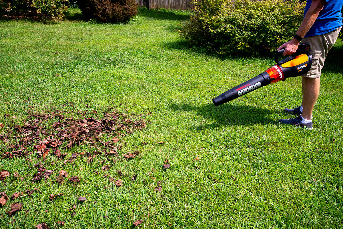 The Best Leaf Blowers Options