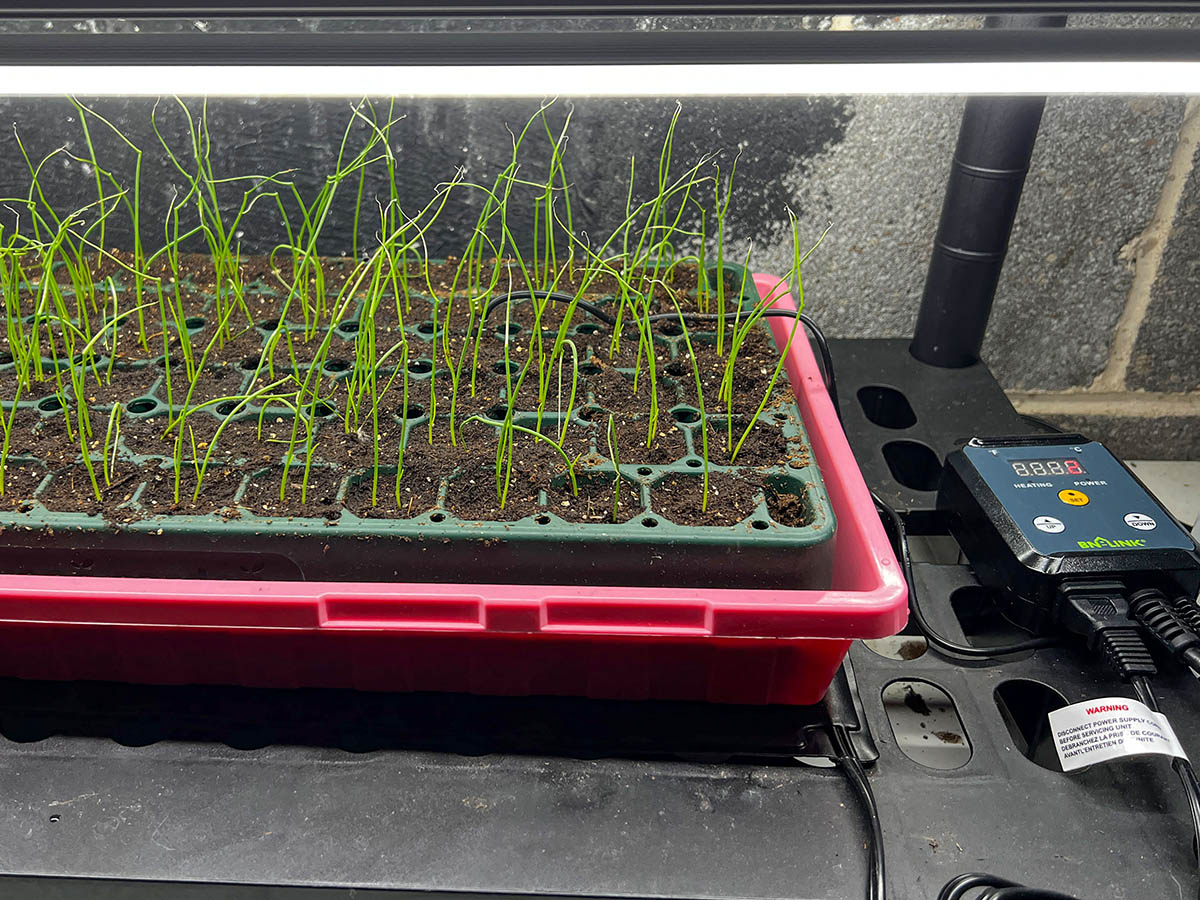 The Best Seedling Heat Mat