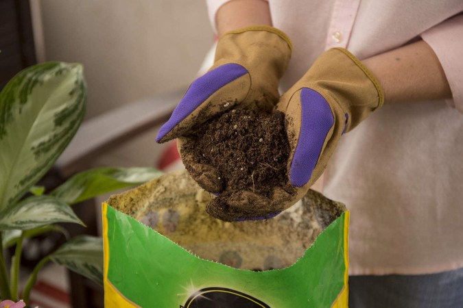 The Dos and Don’ts of DIY Potting Soil