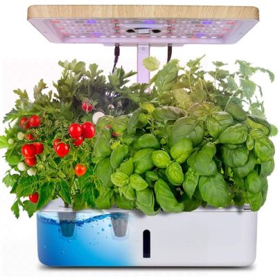 The Moistenland Indoor Garden Starter Kit growing healthy-looking herb and cherry tomato plants on a white background.
