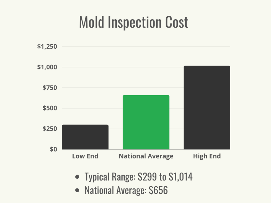 Here's How Much Mold Inspection Typically Costs - Bob Vila