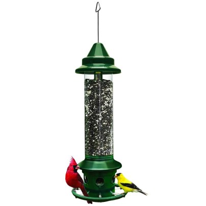 The Best Bird Feeder For Cardinals Option: Brome Squirrel Buster Plus Feeder With Cardinal Ring