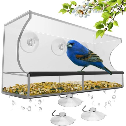 The Best Bird Feeder For Cardinals Option: Nature's Hangout Window Bird Feeder With Suction Cups