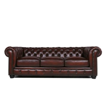 Birch Lane Freddie 95u0022 Leather Sofa