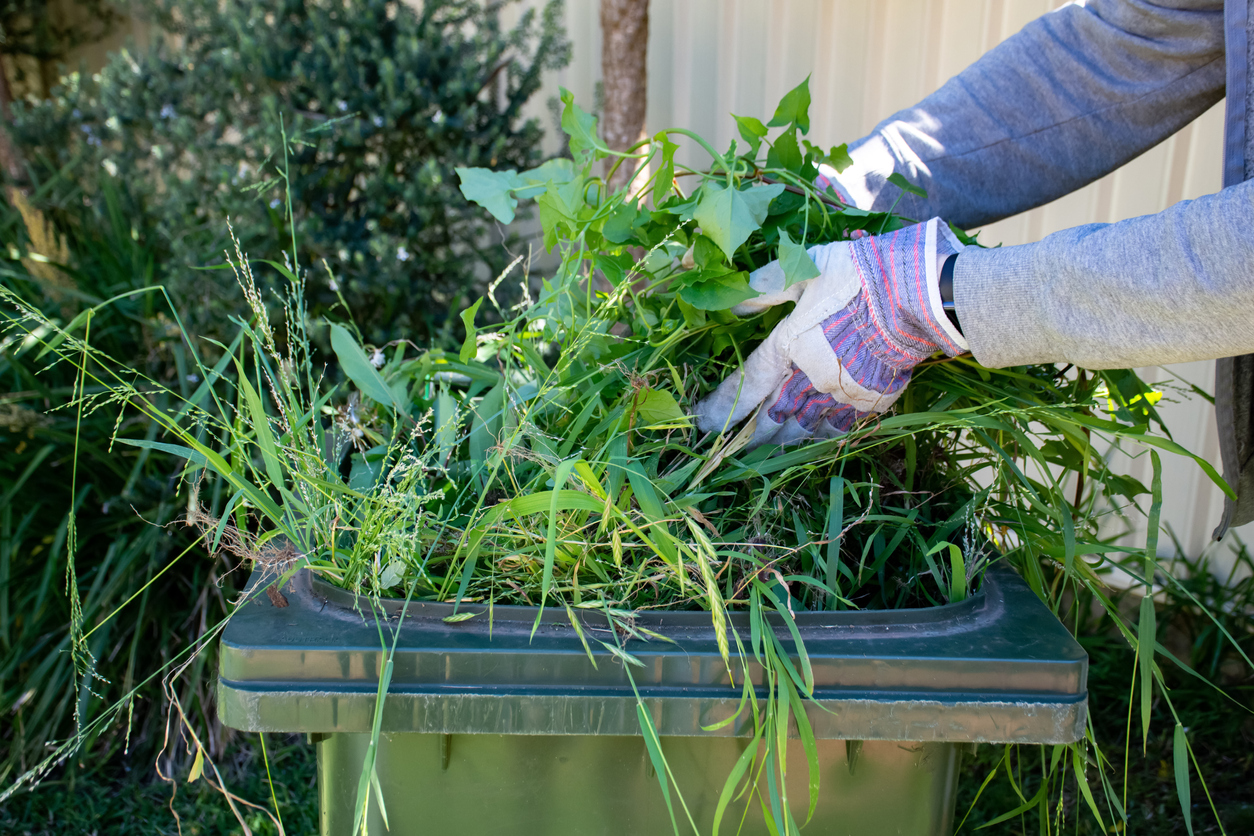 Person wearing garden gloves putting yard vegetation into a bin