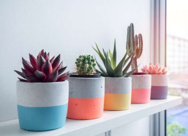 7 Cool Concrete Planters That You Can DIY