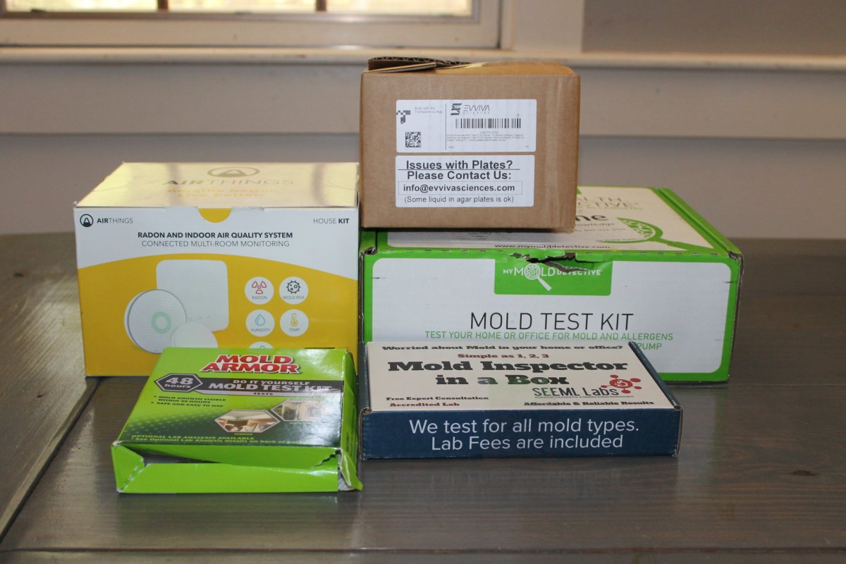 Best Mold Test Kits