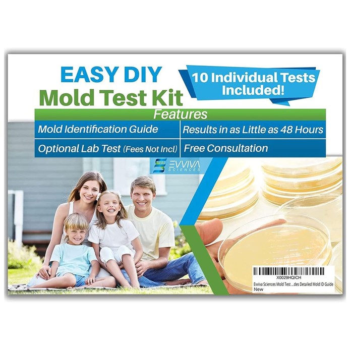 The Best Mold Test Kits of 2025 - Tested by Bob Vila