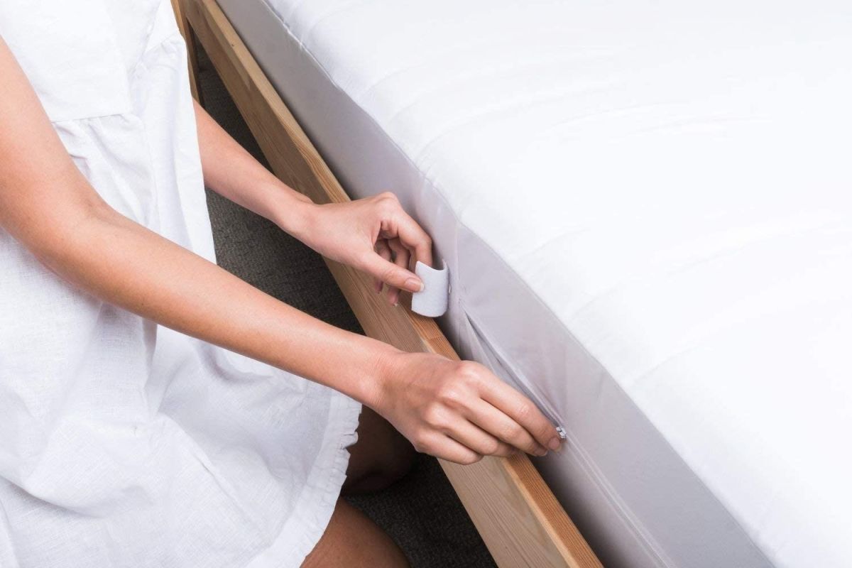 The Best Bed Bug Mattress Cover Options