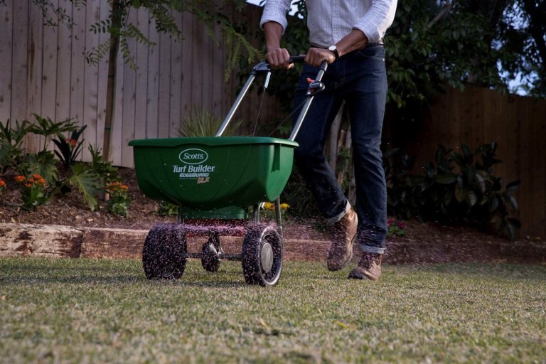 A man using a fertilizer spread to spread the best fertilizer for centipede grass option