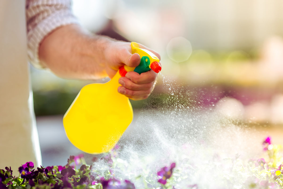 Does Vinegar Kill Weeds? How to Use Vinegar in Your Garden Bob Vila