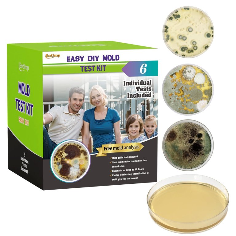 Entimp Mold Test Kit