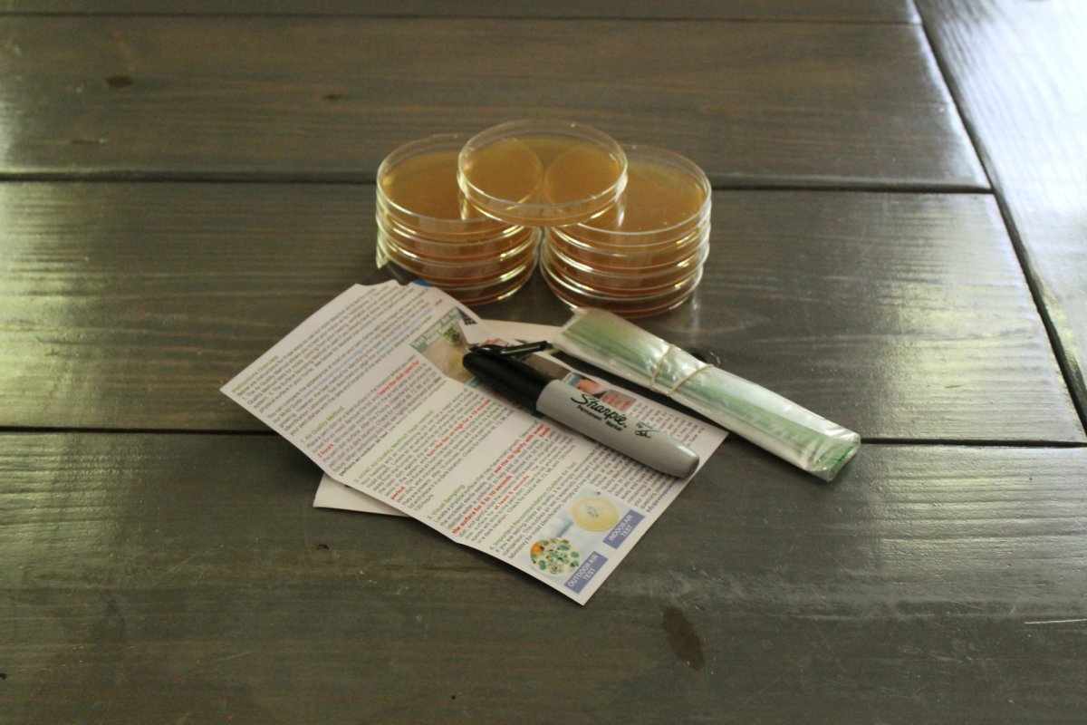 Evviva Sciences Mold Test Kit
