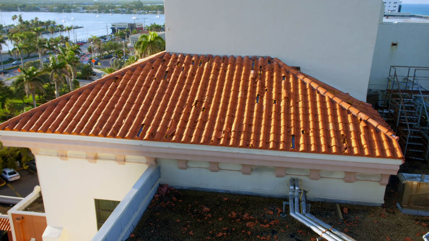 Hail Damage Roof Look for Signs of Damage
