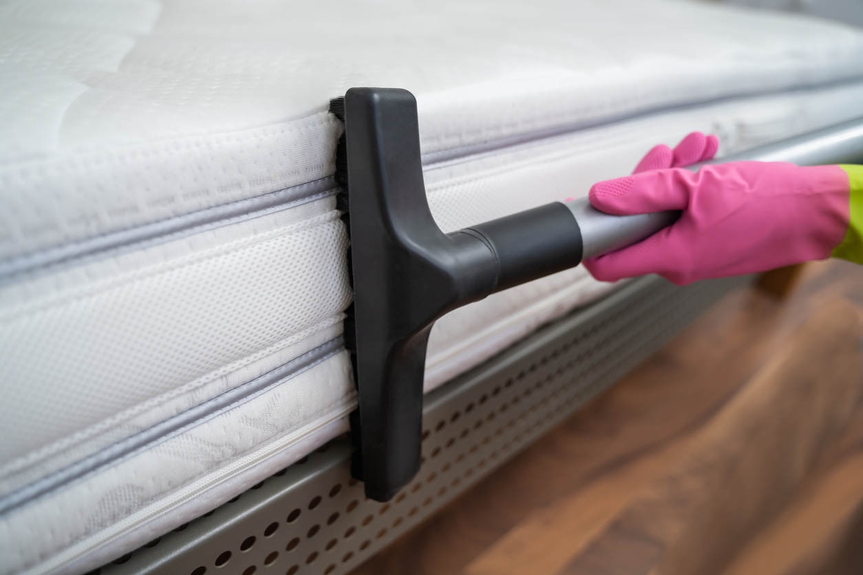 How to Get Rid of Bed Bugs Clean Furniture