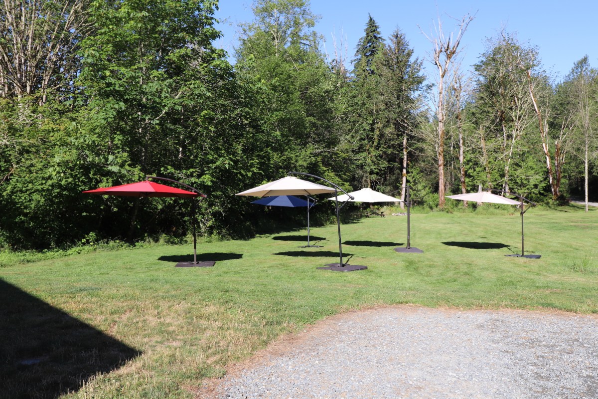 A group of the best cantilever umbrellas set up in a large grassy yard