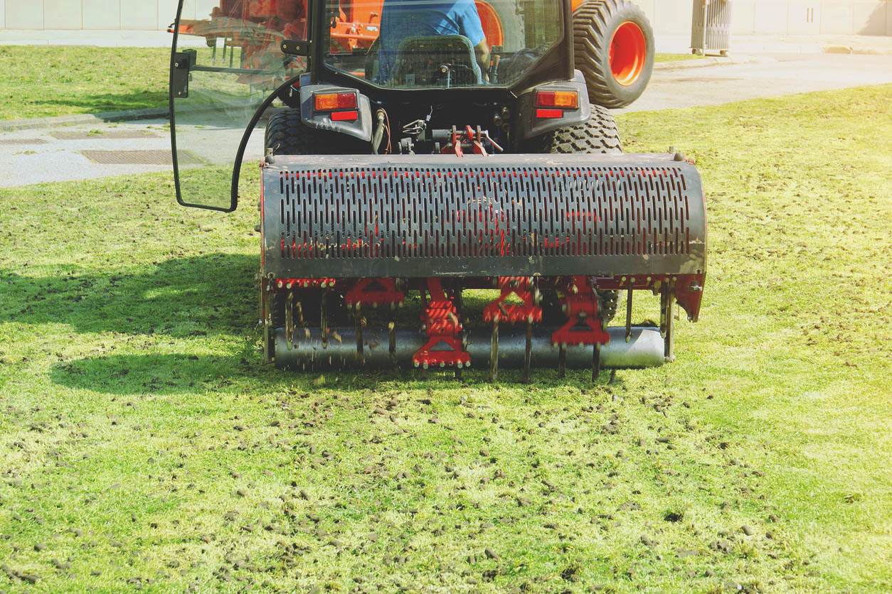 Lawn Aeration Cost