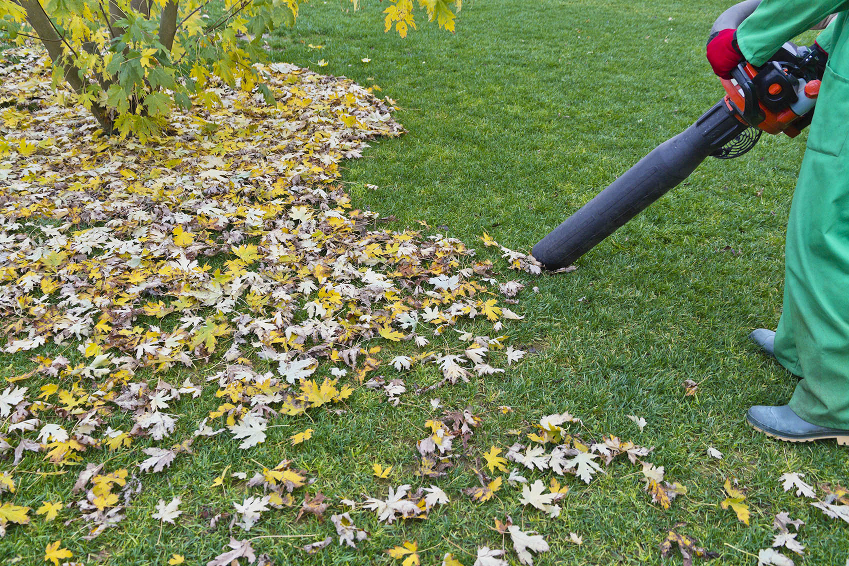A person is using a handheld mulcher to shred leaves on a lawn.