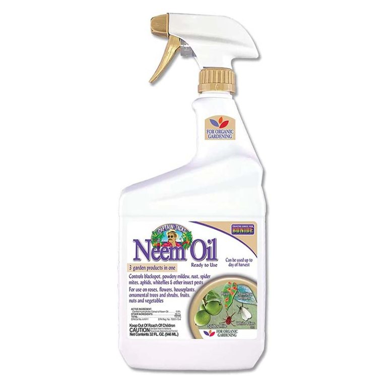  The Best Grub Killer Option: Bonide Captain Jack’s Neem Oil