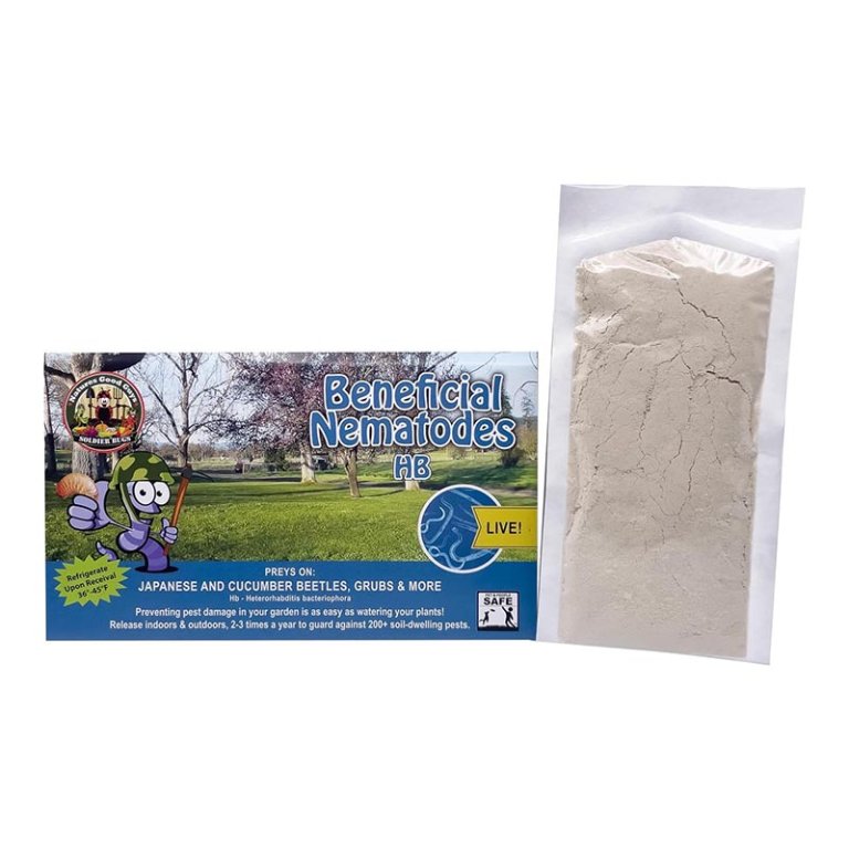  The Best Grub Killer Option Bug Sales 50 Million Live Beneficial Nematodes