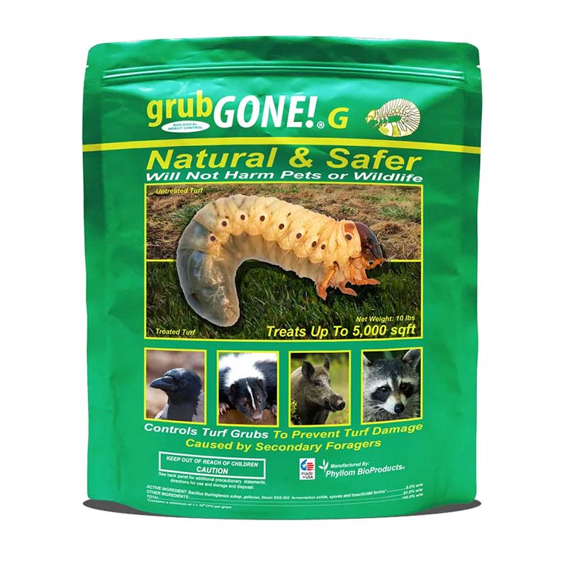 The Best Grub Killers for a Healthy Lawn - Bob Vila