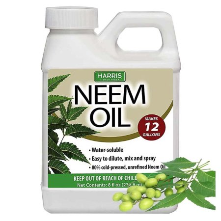  The Best Grub Killer Option: Harris Neem Oil Water-Soluble Concentrate