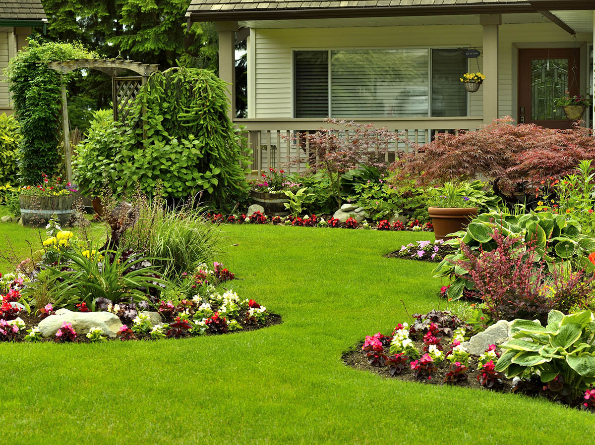 The Best Place to Buy Outdoor Plants Online Options